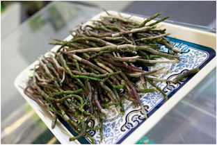 光明九斛堂閃耀上海國際食博會，引領食養健康新服務