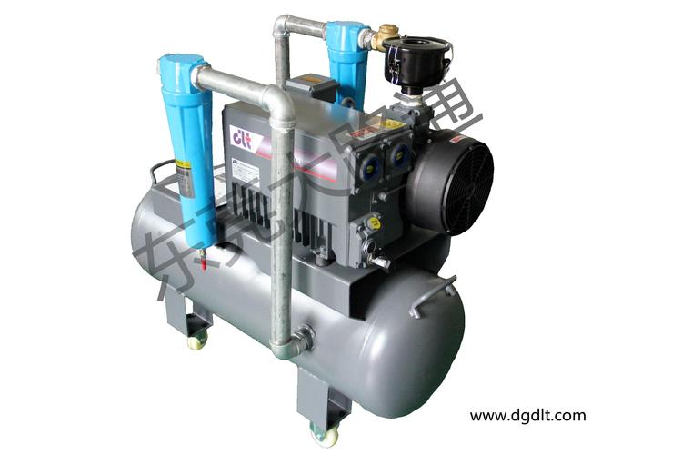 dlt.v0100單級油式旋片真空泵帶精密過濾器系統